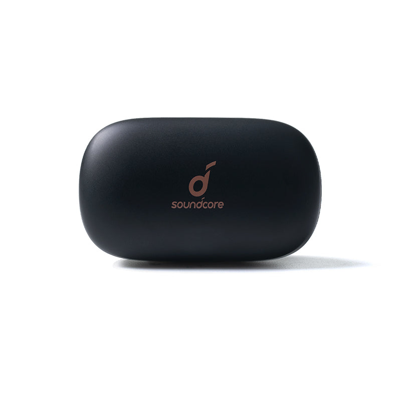 Life P2 Charging Case - Black