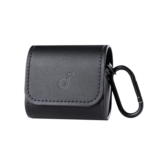soundcore Earbuds Travel Case