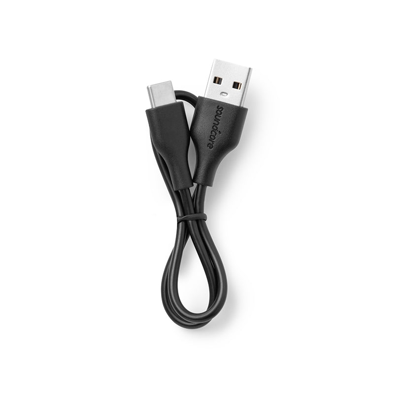 USB Type-C Charging Cable- 30cm