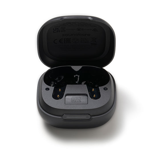 soundcore P40i Charging Case - Black