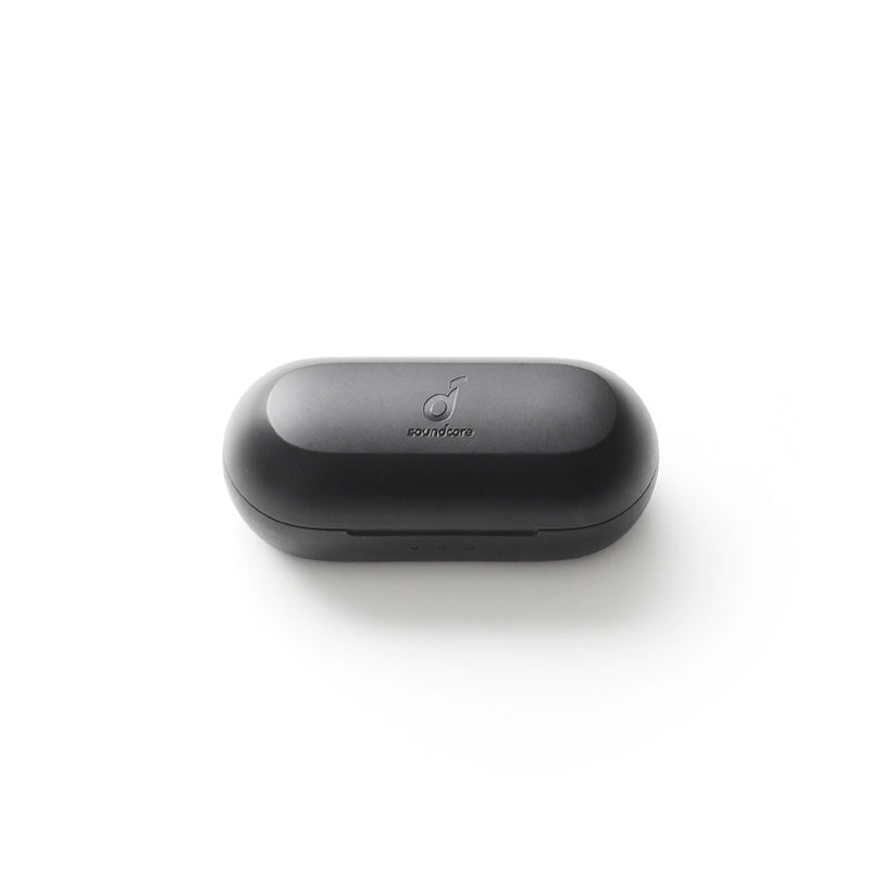 soundcore Life A1 Charging Case - Black